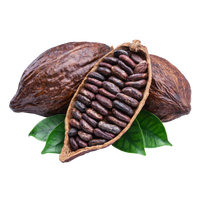 Cacao