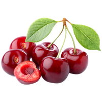 Cerise