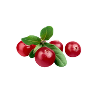 Cranberry