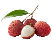 Litchi