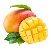 Mangue