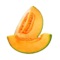 Melon