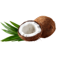 Noix de Coco