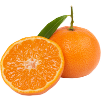 Mandarine