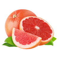 Pamplemousse