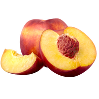 Pêche